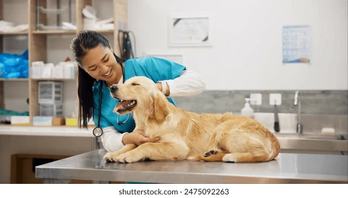Veterinary Care